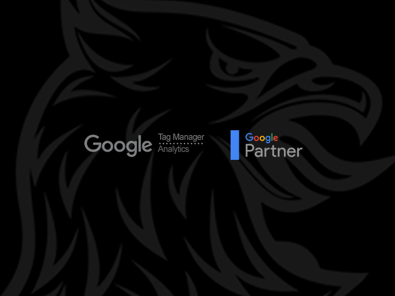 Official Google Partner Agency